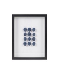 Indigo Shells Framed Sea Urchin Shadow Box Wall Decor Blue by   