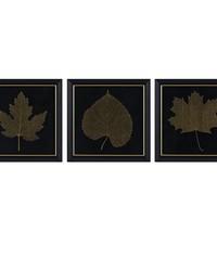 Gilded Trio Black/Gold Gold Metallic Leaf Square Framed Graphic Wall Decor 3-Piece Set by   