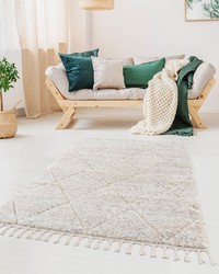 Sophia Cream Talas Trellis Area Rug in Cream by   