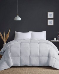 Heavy Warmth Light Grey Goose Feather and Down Oversize Comforter Twin by   