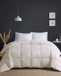 Heavy Warmth Cream Goose Feather and Down Oversize Comforter Twin by   