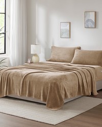 Soloft Plush Taupe Queen by   