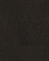 Abilene 8006 Walnut by   