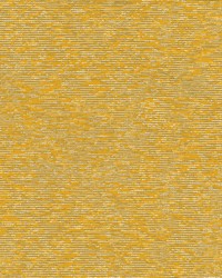 Acacia 502 Sunshine by   