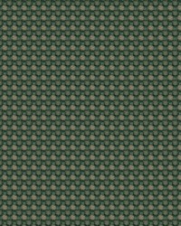 Aerotex 2008 Cactus by   