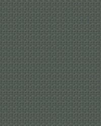 Aerotex 967 Slate by   