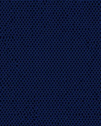 Air Knit 3006 Royal by   