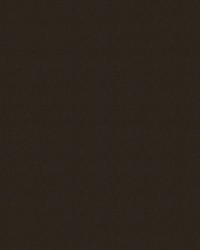 Amarillo 8009 Java by   