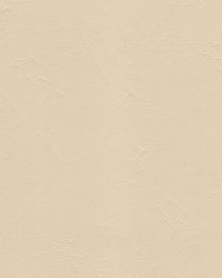 Anchor 1843 Shell by   