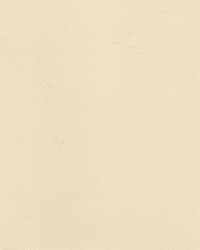 Anchor 1844 Pearl by   