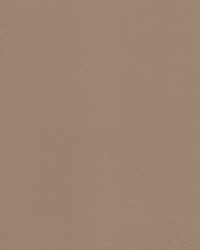 Anchor 1848 Driftwood by   