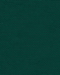 Apollo 2009 Forest Green by   