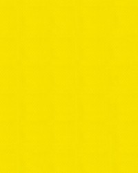 Apollo 55 Yellow by   