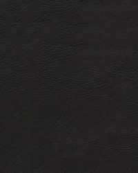 Arctic - 40 9009 Black by   