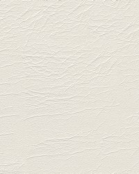 Aries 1601 Brilliant White by   