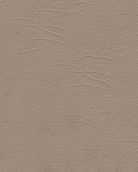 Aries 1604 Sand Dollar by   