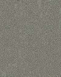 Aristocrat 97 Pewter by   