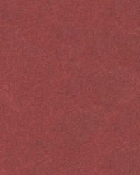 Arlo 14 Cranberry by   