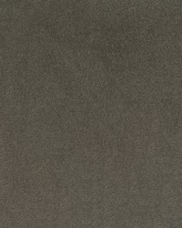 Arlo 603 Mushroom by   