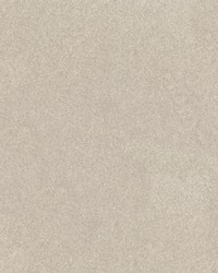 Arlo 90 Limestone by   