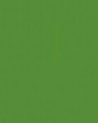 Armada 105 Fiesta by  Abbeyshea Fabrics 