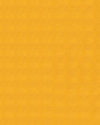 Armada 108 Lemon Chiffon by  Abbeyshea Fabrics 