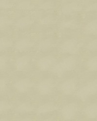 Armada 117 Sand Dollar by  Abbeyshea Fabrics 