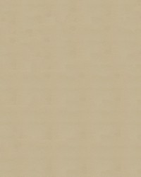 Armada 118 Sand Dune by  Abbeyshea Fabrics 