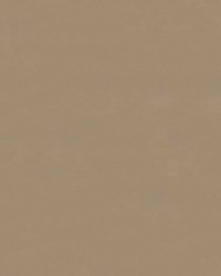 Armada 123 Sugar Cane by  Abbeyshea Fabrics 