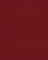 Ascent 14 Carmine by   