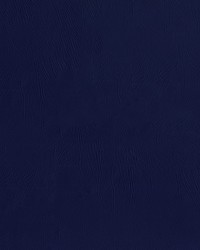 Ascent 305 Imperial Navy by   