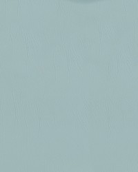 Ascent 33 Celeste by   