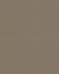 Ascent 6006 Mushroom by   