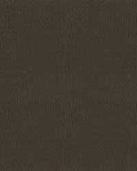 Ascent 6009 Taupe by   