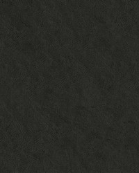 Ascent 7009 Charcoal Dust by   