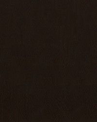 Ascent 8009 Espresso by   