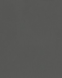 Ascent 9006 Gauntlet by   