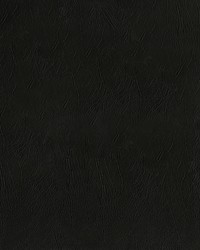 Ascent 9009 Black by   