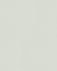 Ascent 91 Crystal Grey by   