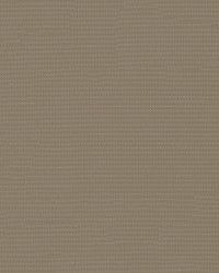 Atlas 69 Beige by  Abbeyshea Fabrics 