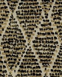 Avignon 82 Cheetah by   