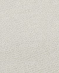 Beluga BEL 3303 Off White by   