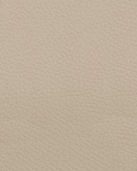 Beluga BEL 3304 White Cap by   