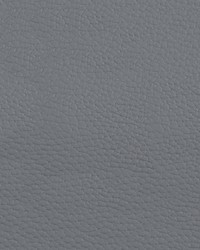 Beluga BEL 3310 Pearl Grey by   