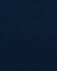 Beluga BEL 3313 Celestial by   