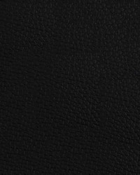 Beluga BEL 3316 Black Beard by   