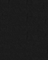 Blizzard Black 9009 Black by  Abbeyshea Fabrics 