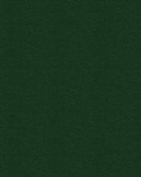 Burkshire 36 Forest by   