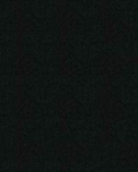 Burkshire 43 Black by   