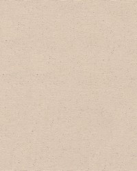 Canvas Untreated White by  Abbeyshea Fabrics 